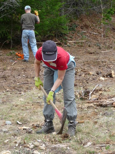Debbi pulling stumps during the Stewardship weekend