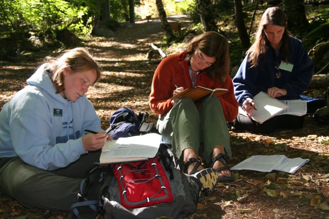 writers in the woods