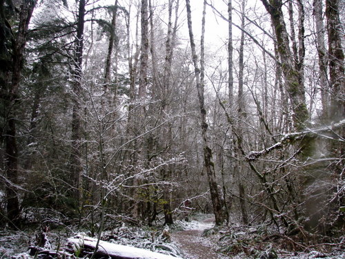 Sourdough Creek trail snow