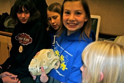 exploring mammal skulls happy valley