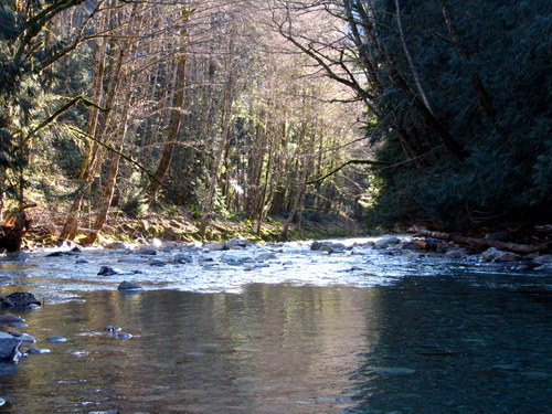 Stetattle Creek
