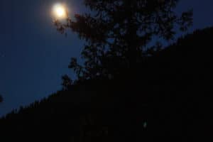 Moonlit night landscape