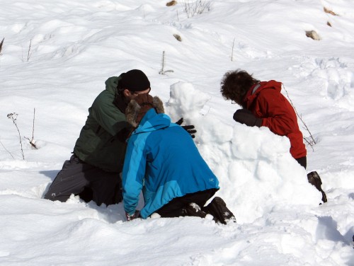 Group building snow mountain