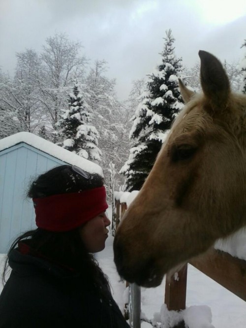 pony in winter