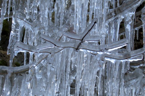 9icicles