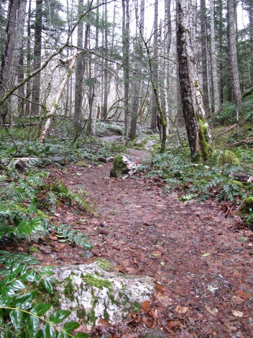 deer creek trail