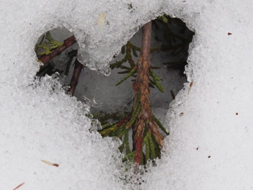 snow heart K. Renz