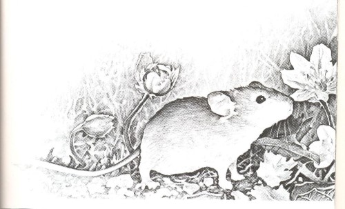 Jumping Mouse 2
