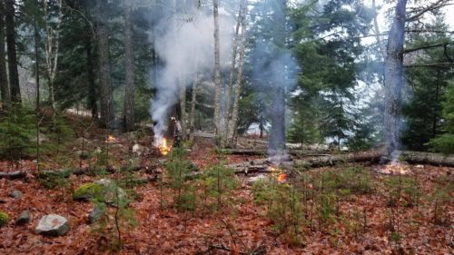 National Park burning debris at ELC