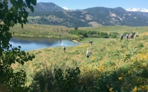 The Search for Snakes in the Methow Valley