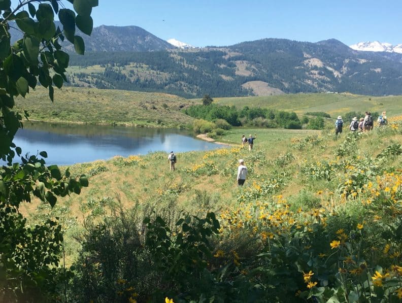 Participants wander the Methow Valley in search of snakes