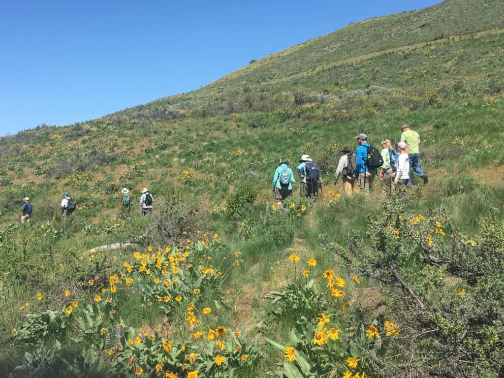 Participants in search of snakes in the Methow Valley