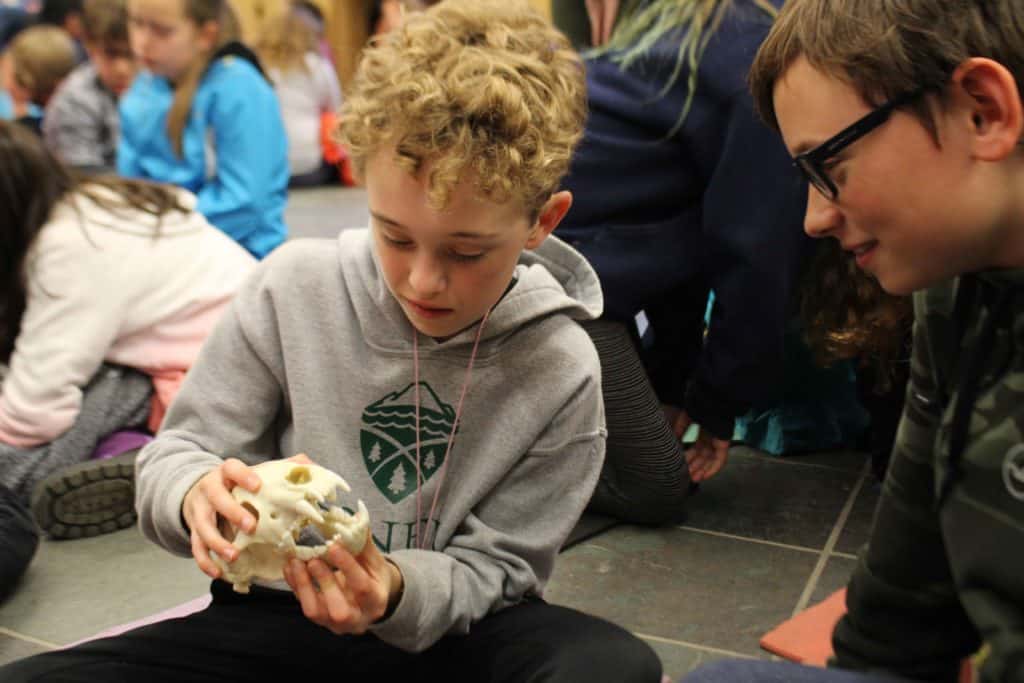 5th grade students examine skulls during mountain school