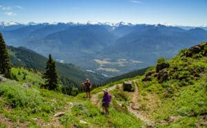 Sauk Mountain: Wildflowers and Butterflies in the North Cascades
