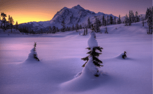 Winter Awareness: Snow Safety in the North Cascades