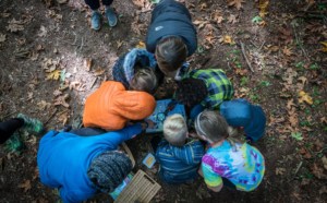 Forest School: An Environmental Education