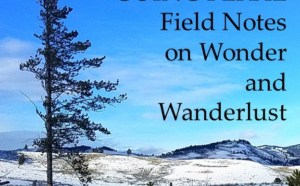 Going Feral: Field Notes on Wonder and Wanderlust: Excerpt from Heather Durham