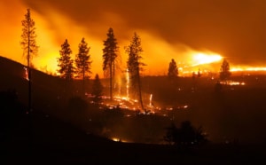 Playing With Fire: A Cultural History of Wildfire in Western Washington