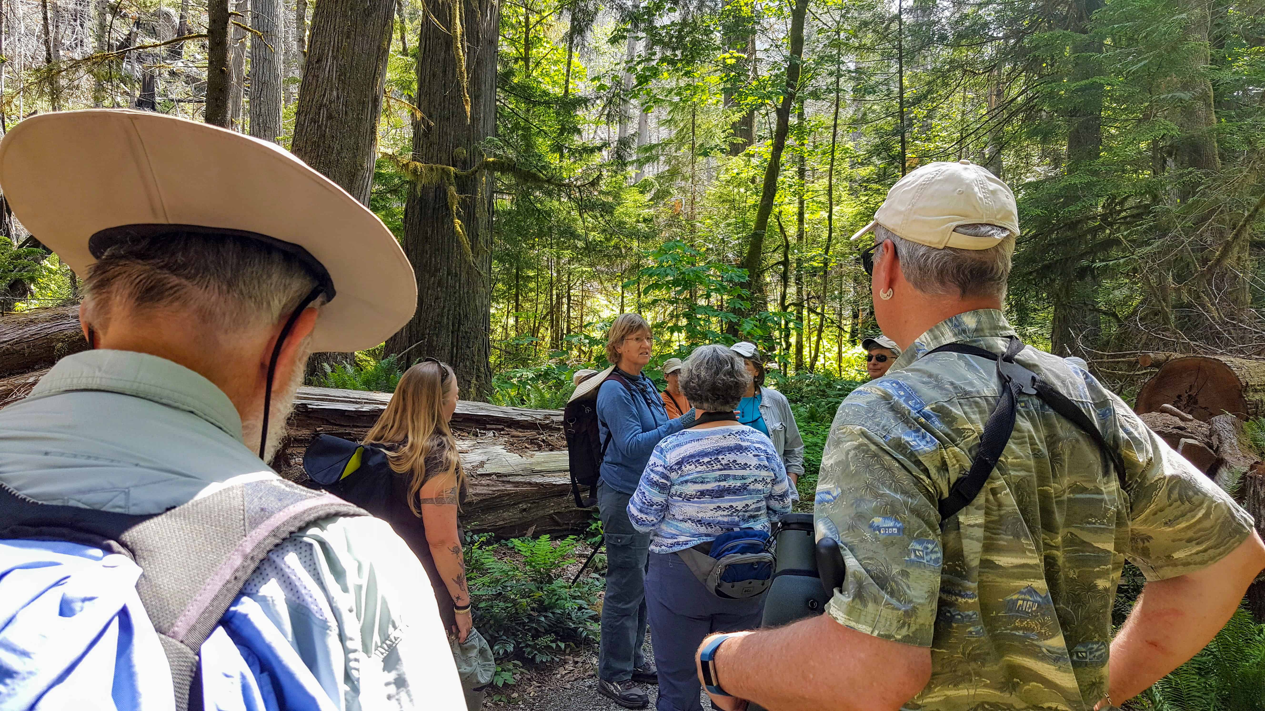 Adult participants watch instructor Libby Mills as she teaches abour birding in a forest