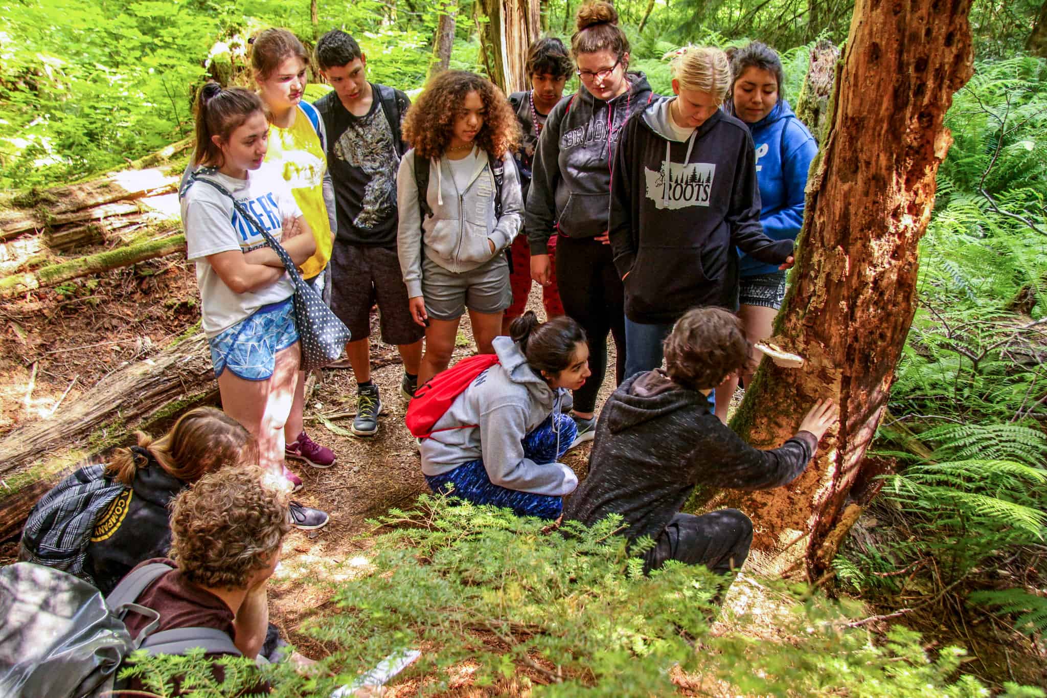 A group of youth observe a mushroom while learning from an instructor