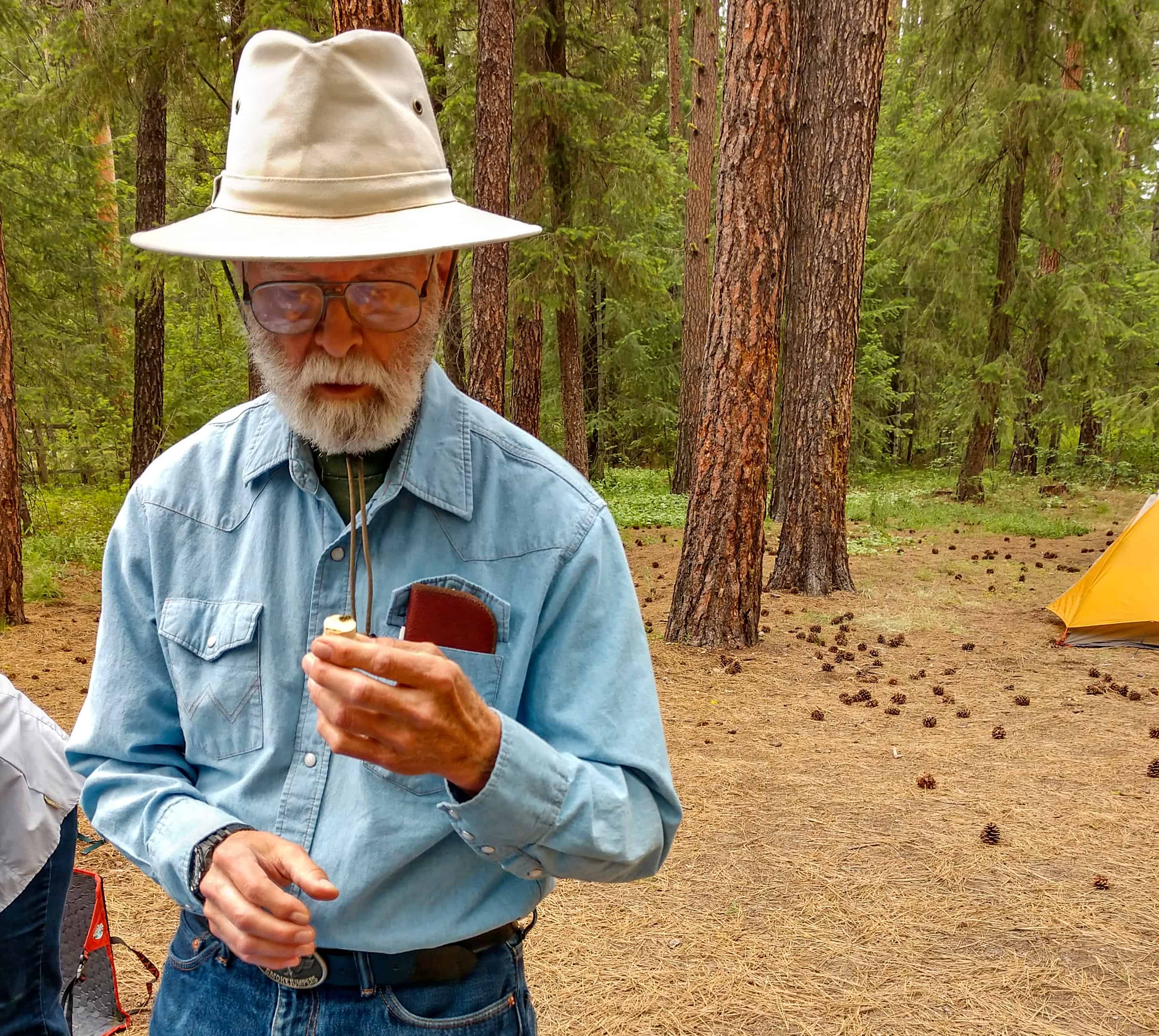 Dr. Don Rolfs, native bee biologist observes a critter in the forest