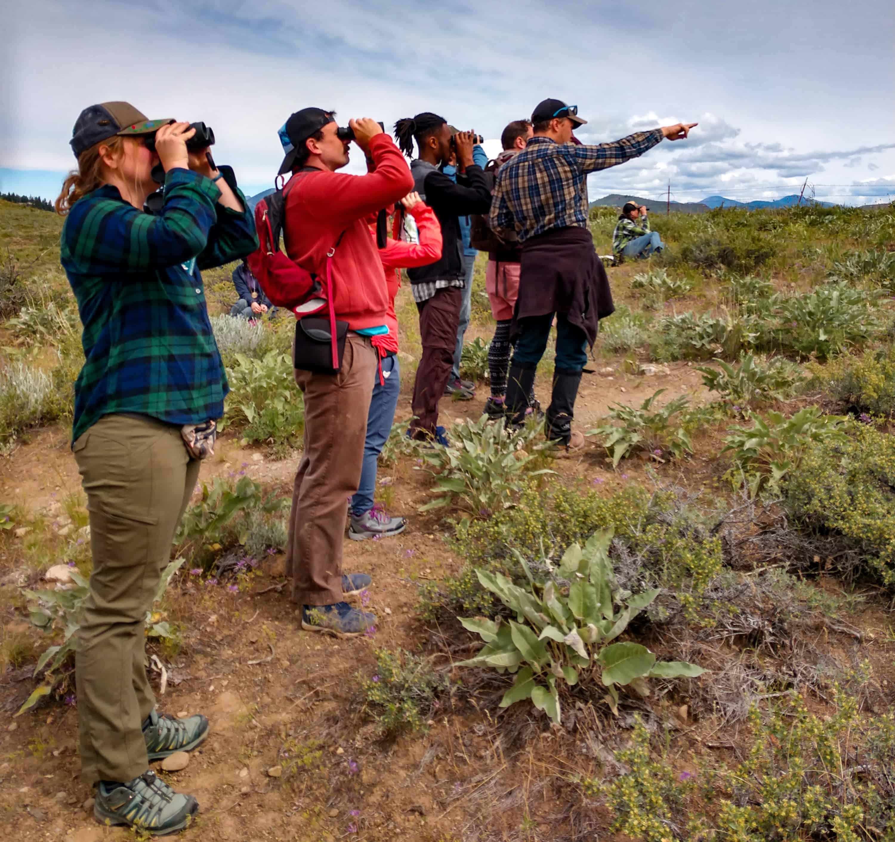 Graduate students in a field using binoculars to make observations