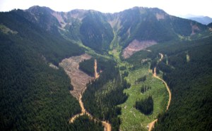 Letter opposing mining in the Skagit River Headwaters