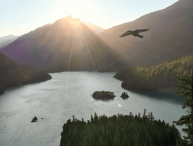 A raven soars in the foreground while the sun sets behind Davis Peak over Diablo Lake.
