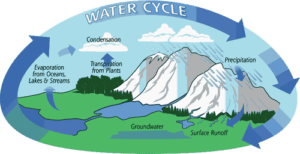 Mountain School @ Home Lesson 18: Water Cycle — North Cascades Institute