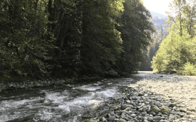 Protecting Salmon in Diobsud Creek