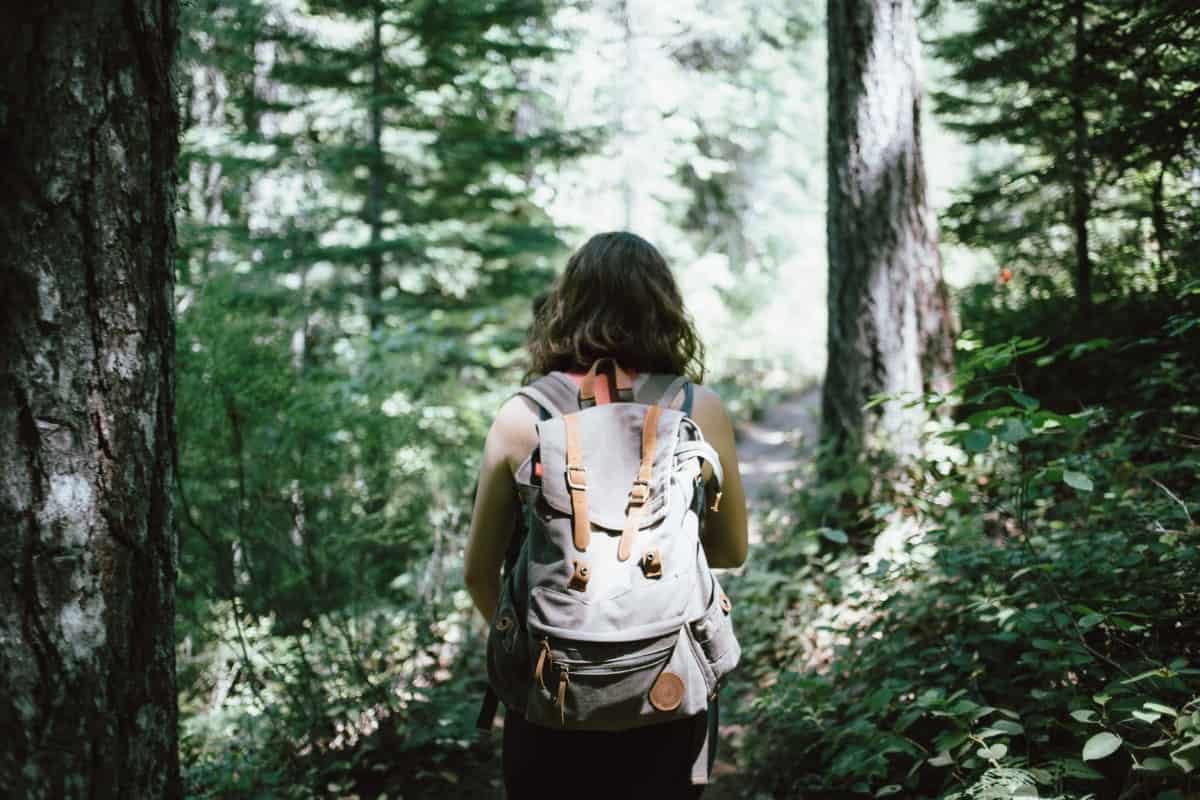 “Total Immersion” from Forest Walking - North Cascades Institute