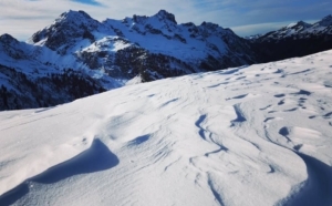 From the Trail: The Secret Life of Snow