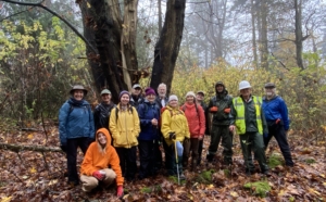 Service Days in Action: How Institute Staff Are Showing Up for Community, Conservation, and Care
