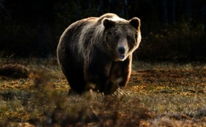 “Crossing the Threshold” with Tom Fleischner