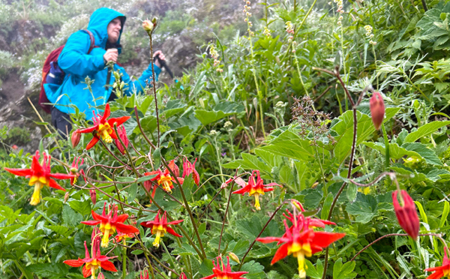 Looking Back at the Flowers, Frogs & Frolics of Summer